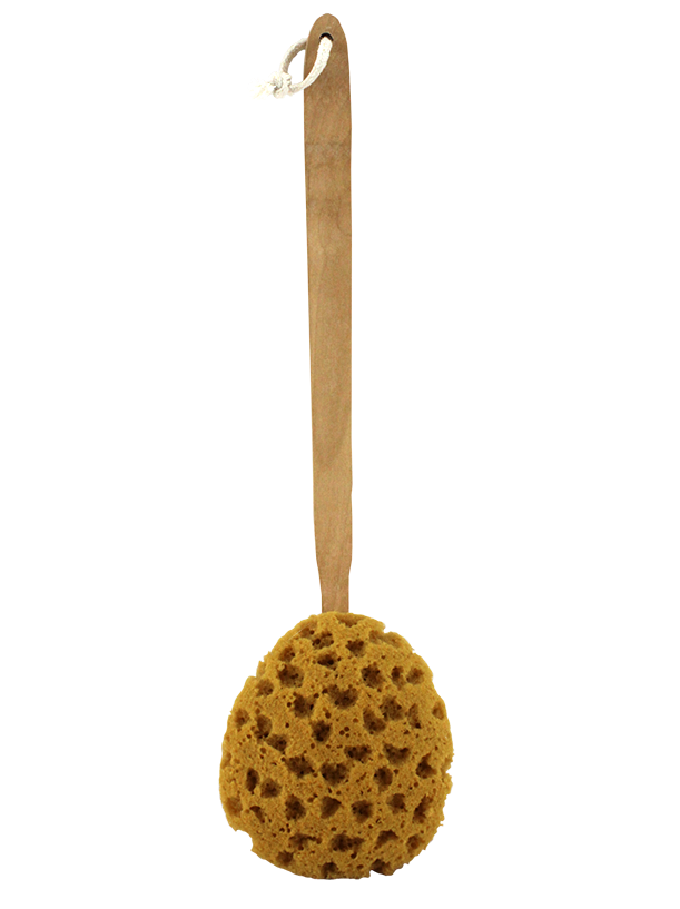 Faux Sea Sponge on Wooden Handle