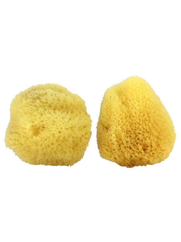 Natural Cosmetic Facial Sea Sponge 2 Pack