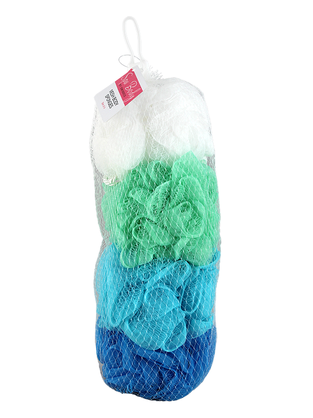Spa Body 4pc Mesh Sponge in Net Bag