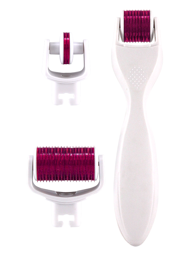 MICRO-NEEDLE FACIAL ROLLER SET