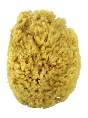 Natural Sea Sponge. Yellow Sponge 4"- 4.5".