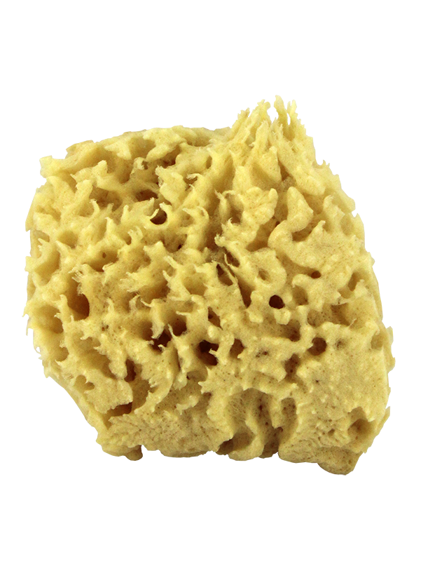 Sea Wool Natural Bath Sponge 4"
