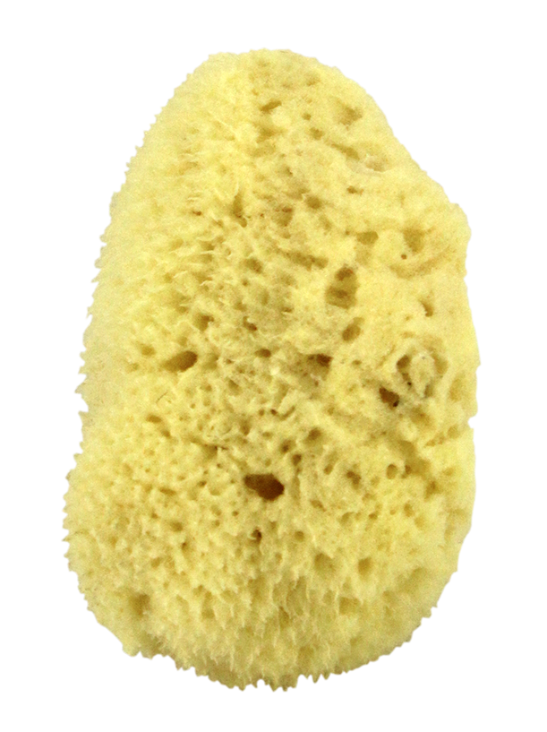 Mediterranean Silk Cosmetic Sponge 2.5" - 3"