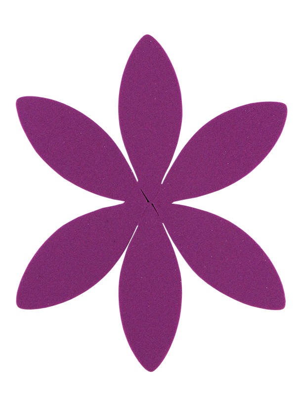 Precision Blending Wedges 6ct