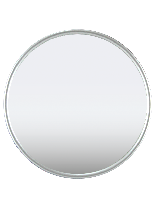 Suction Cup Mirror 5", 12X